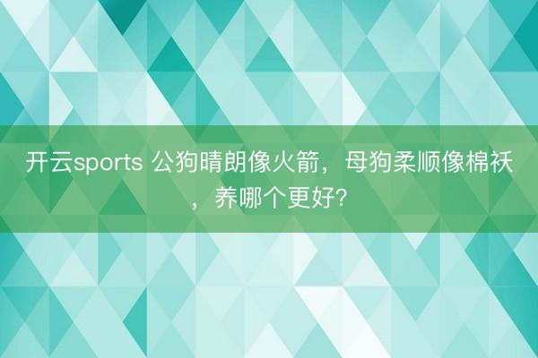 开云sports 公狗晴朗像火箭,母狗柔顺像棉袄,养哪个更好?