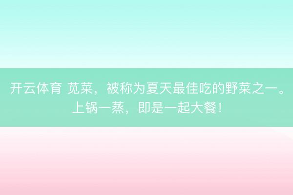 开云体育 苋菜,被称为夏天最佳吃的野菜之一。上锅一蒸,即是一起大餐!