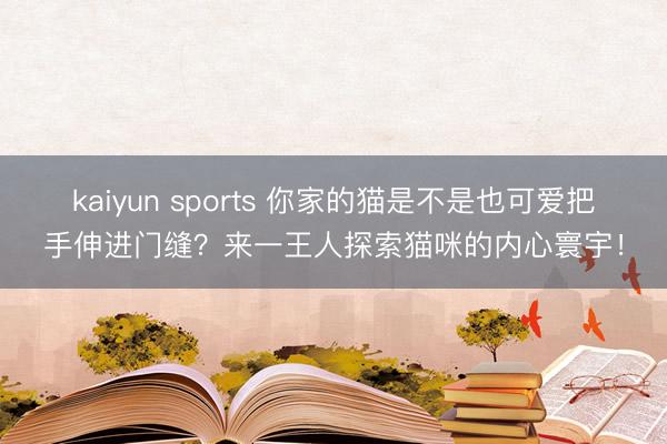 kaiyun sports 你家的猫是不是也可爱把手伸进门缝？来一王人探索猫咪的内心寰宇！