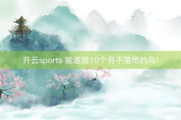 开云sports 能遨游10个月不落地的鸟!