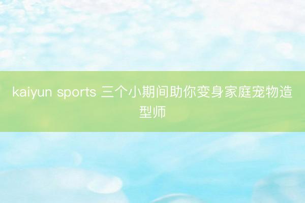 kaiyun sports 三个小期间助你变身家庭宠物造型师