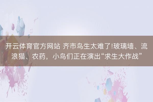 开云体育官方网站 齐市鸟生太难了!玻璃墙、流浪猫、农药,小鸟们正在演出“求生大作战”