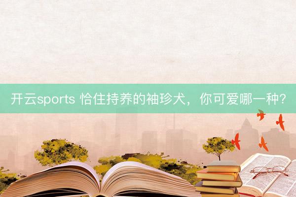 开云sports 恰住持养的袖珍犬,你可爱哪一种?