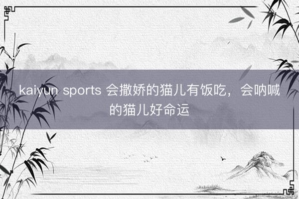 kaiyun sports 会撒娇的猫儿有饭吃，会呐喊的猫儿好命运