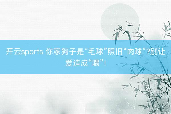 开云sports 你家狗子是“毛球”照旧“肉球”?别让爱造成“喂”!