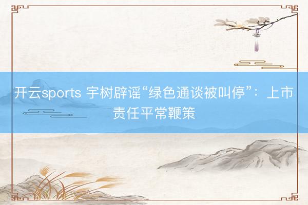 开云sports 宇树辟谣“绿色通谈被叫停”：上市责任平常鞭策