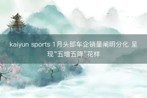 kaiyun sports 1月头部车企销量阐明分化 呈现“五增五降”花样