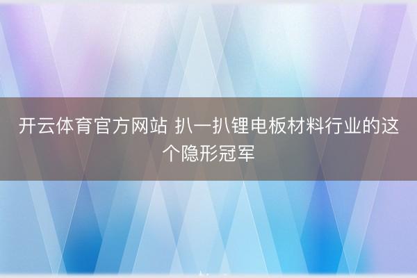 开云体育官方网站 扒一扒锂电板材料行业的这个隐形冠军