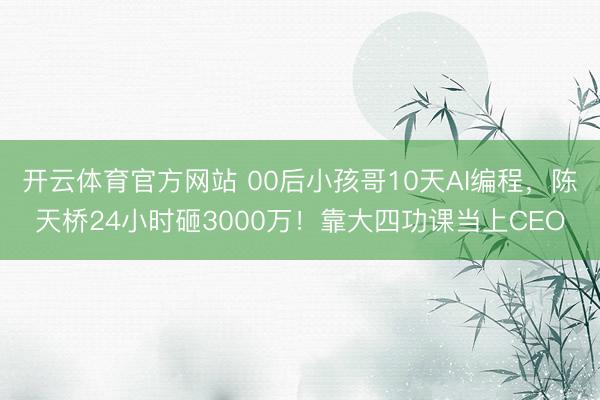 开云体育官方网站 00后小孩哥10天AI编程,陈天桥24小时砸3000万!靠大四功课当上CEO
