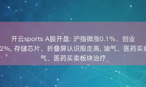 开云sports A股开盘: 沪指微涨0.1%、创业板指涨0.42%， 存储芯片、折叠屏认识股走高， 油气、医药买卖板块治疗