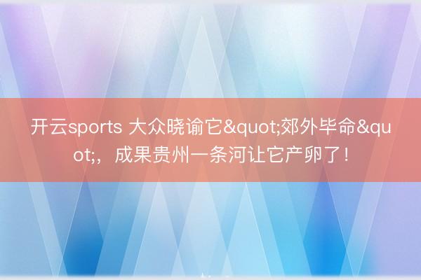 开云sports 大众晓谕它"郊外毕命"，成果贵州一条河让它产卵了！
