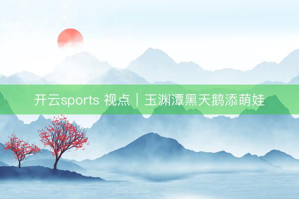 开云sports 视点|玉渊潭黑天鹅添萌娃