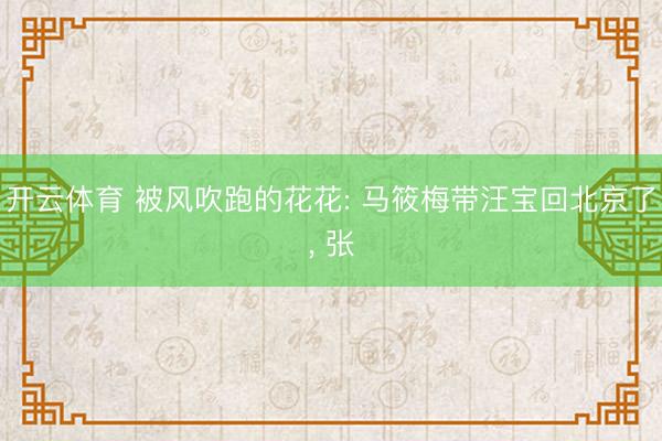 开云体育 被风吹跑的花花: 马筱梅带汪宝回北京了， 张