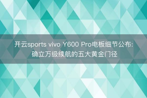 开云sports vivo Y600 Pro电板细节公布: 确立万级续航的五大黄金门径