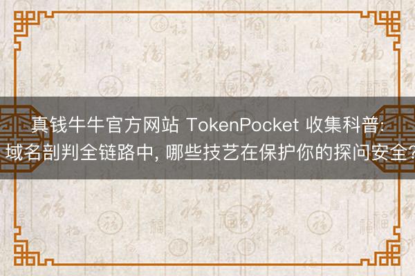 真钱牛牛官方网站 TokenPocket 收集科普: 域名剖判全链路中, 哪些技艺在保护你的探问安全?