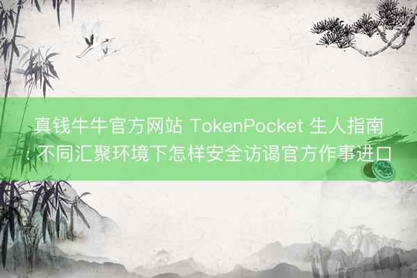 真钱牛牛官方网站 TokenPocket 生人指南: 不同汇聚环境下怎样安全访谒官方作事进口