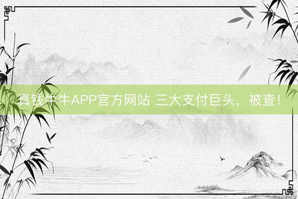 真钱牛牛APP官方网站 三大支付巨头,被查!