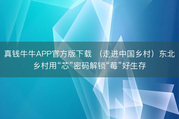 真钱牛牛APP官方版下载 (走进中国乡村)东北乡村用“芯”密码解锁“莓”好生存