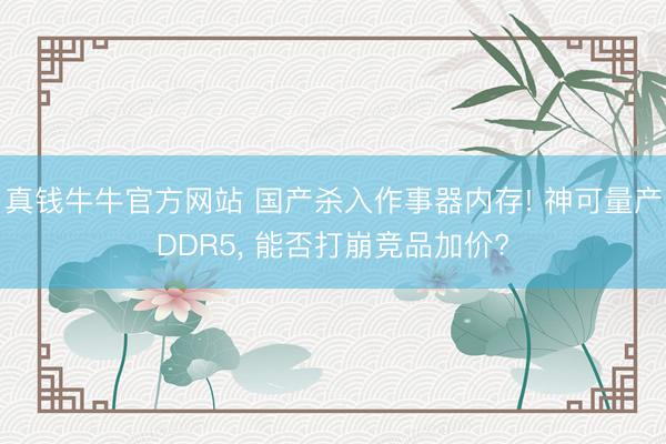 真钱牛牛官方网站 国产杀入作事器内存! 神可量产DDR5， 能否打崩竞品加价?