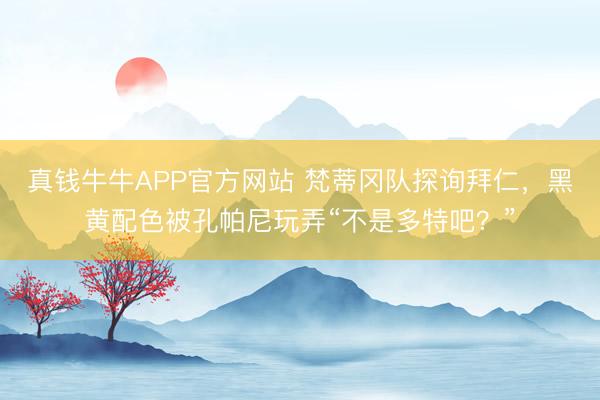 真钱牛牛APP官方网站 梵蒂冈队探询拜仁，黑黄配色被孔帕尼玩弄“不是多特吧？”