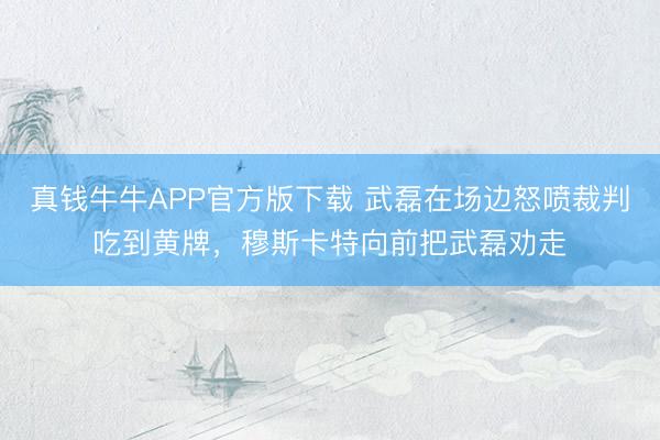 真钱牛牛APP官方版下载 武磊在场边怒喷裁判吃到黄牌，穆斯卡特向前把武磊劝走