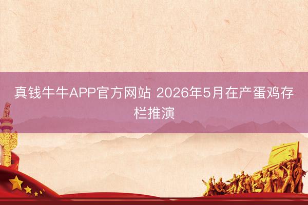 真钱牛牛APP官方网站 2026年5月在产蛋鸡存栏推演