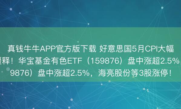 真钱牛牛APP官方版下载 好意思国5月CPI大幅降温，通胀压力显耀缓释！华宝基金有色ETF（159876）盘中涨超2.5%，海亮股份等3股涨停！
