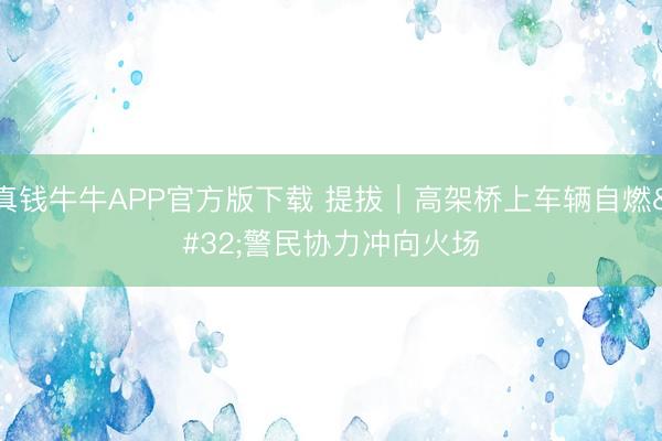 真钱牛牛APP官方版下载 提拔｜高架桥上车辆自燃 警民协力冲向火场