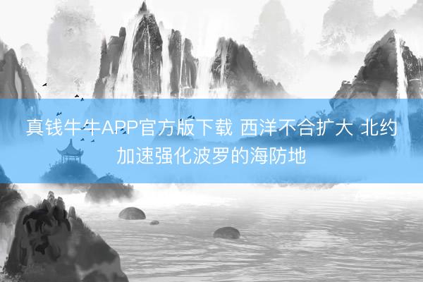真钱牛牛APP官方版下载 西洋不合扩大 北约加速强化波罗的海防地