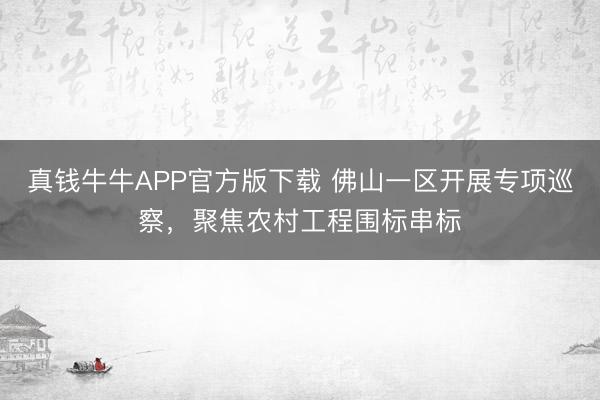 真钱牛牛APP官方版下载 佛山一区开展专项巡察，聚焦农村工程围标串标